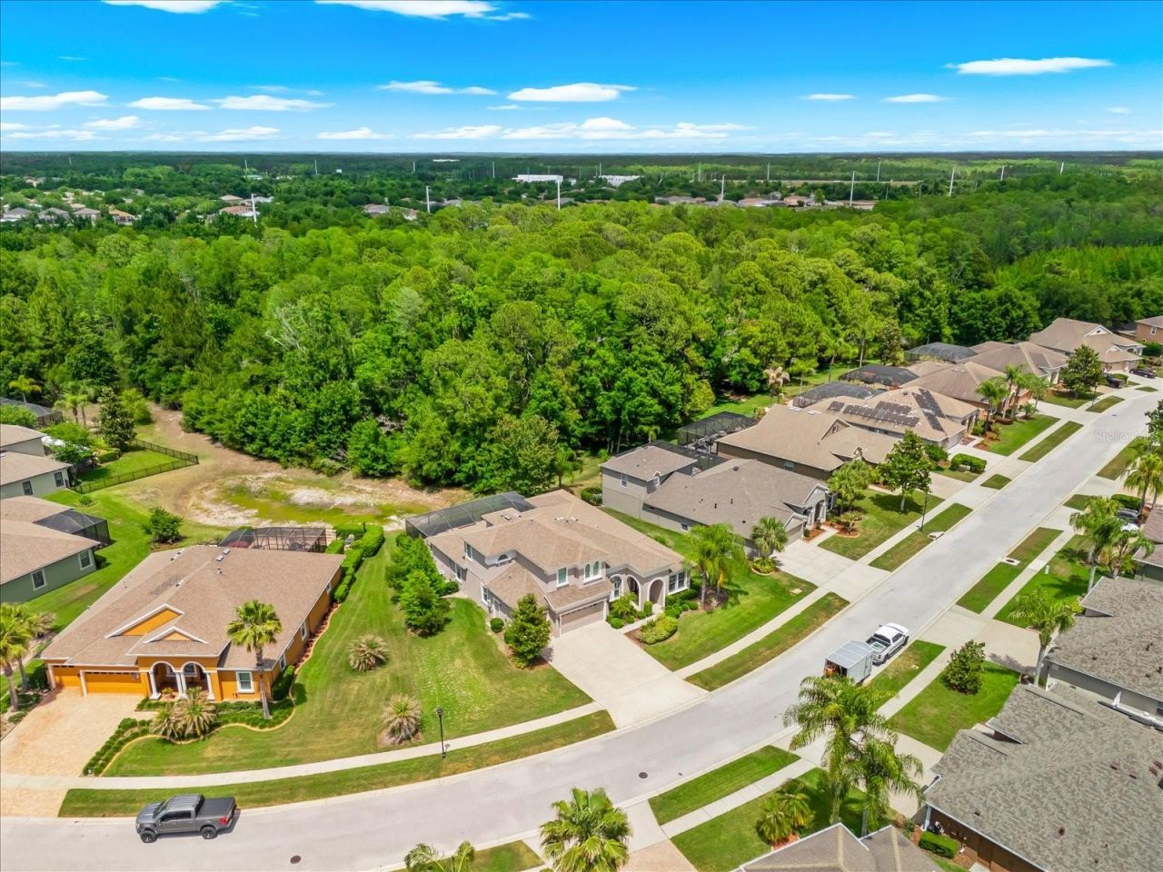 8904 Crystal Creek Court, Land O Lakes, FL 34638 Photo