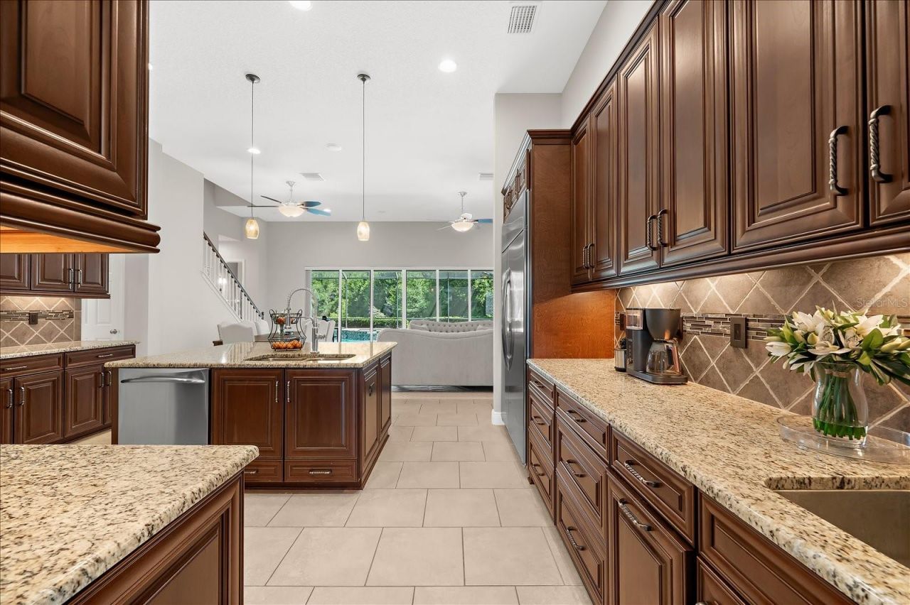 8904 Crystal Creek Court, Land O Lakes, FL 34638 Photo