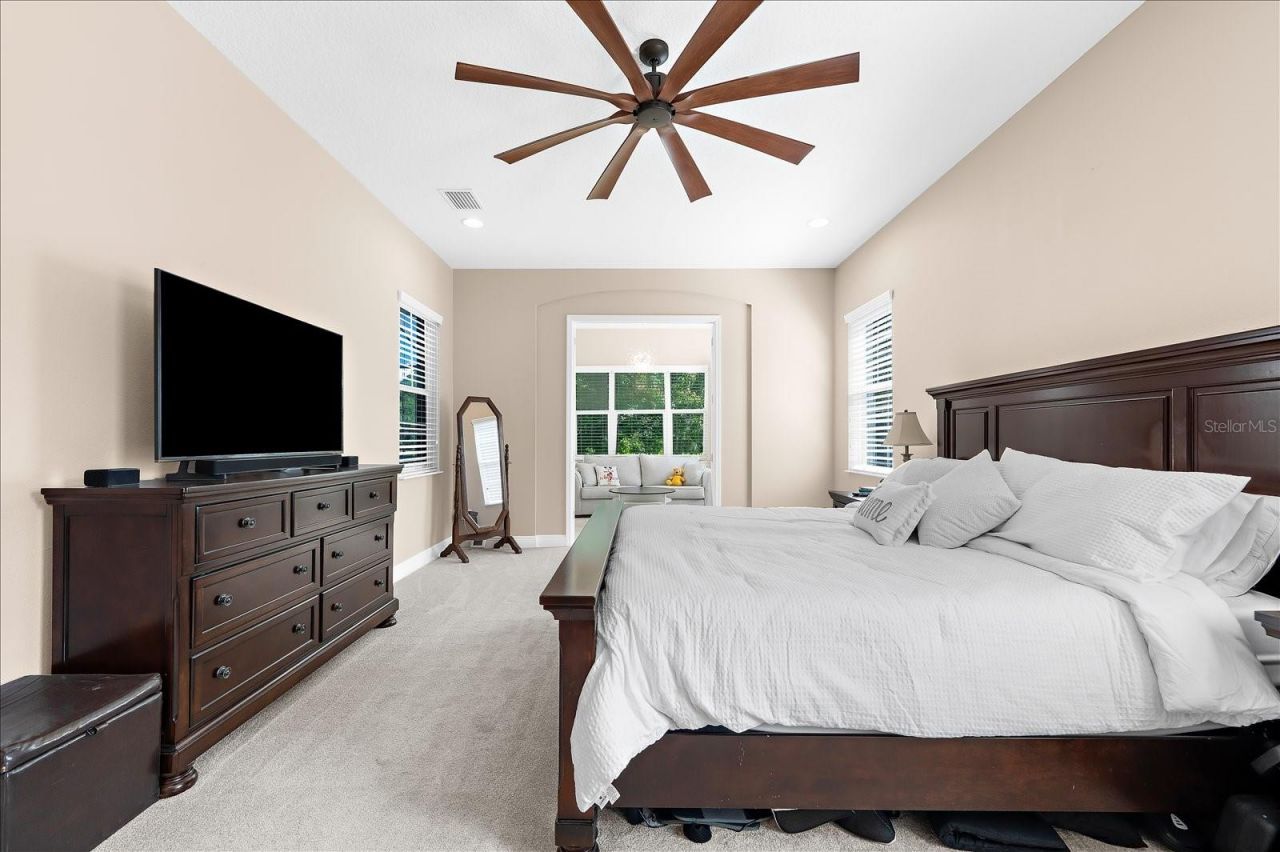 8904 Crystal Creek Court, Land O Lakes, FL 34638 Photo