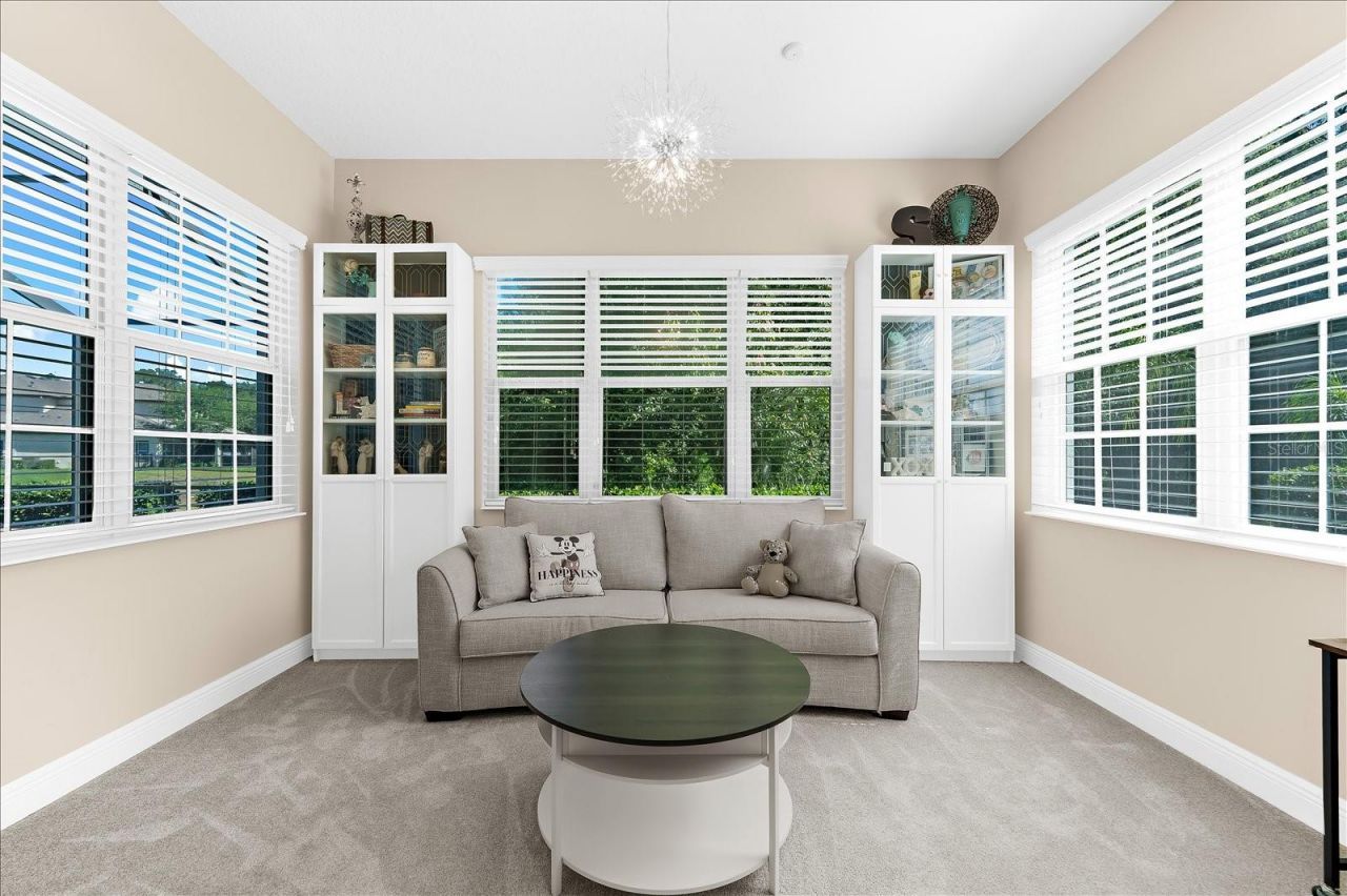 8904 Crystal Creek Court, Land O Lakes, FL 34638 Photo