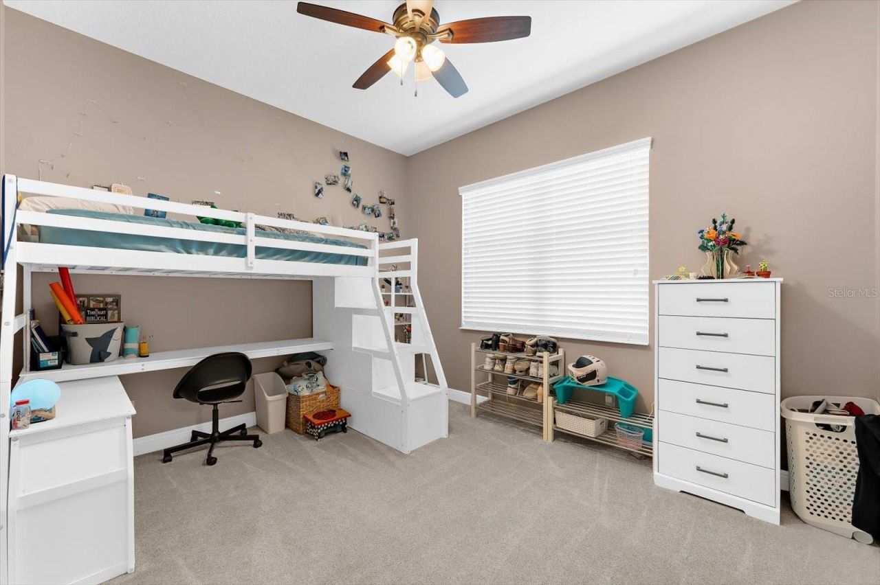 8904 Crystal Creek Court, Land O Lakes, FL 34638 Photo