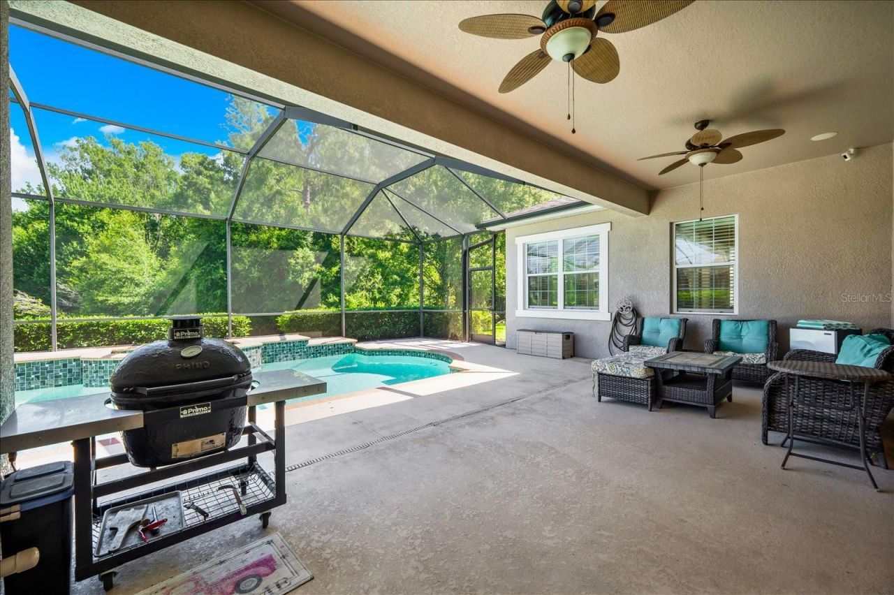 8904 Crystal Creek Court, Land O Lakes, FL 34638 Photo