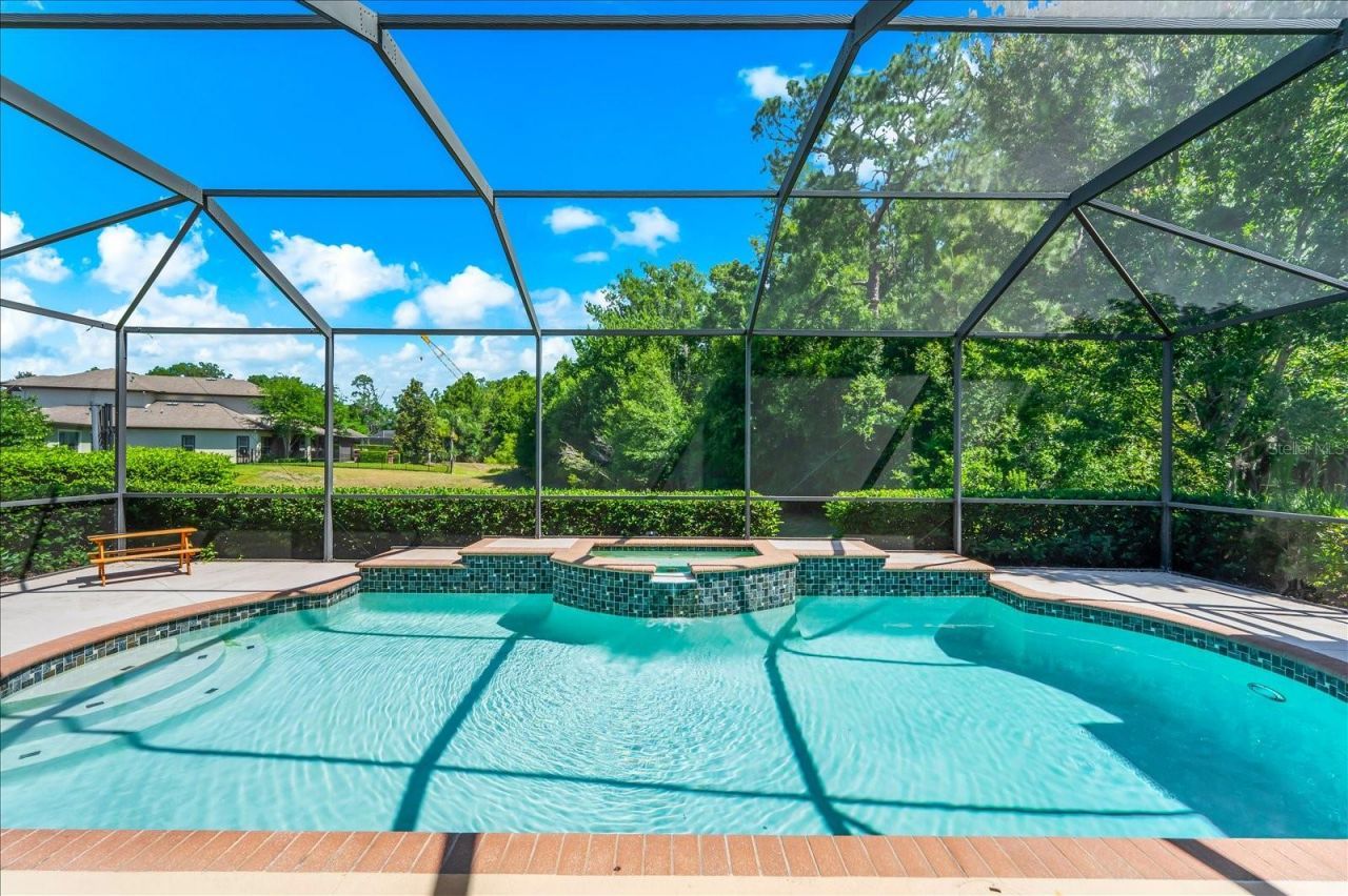 8904 Crystal Creek Court, Land O Lakes, FL 34638 Photo