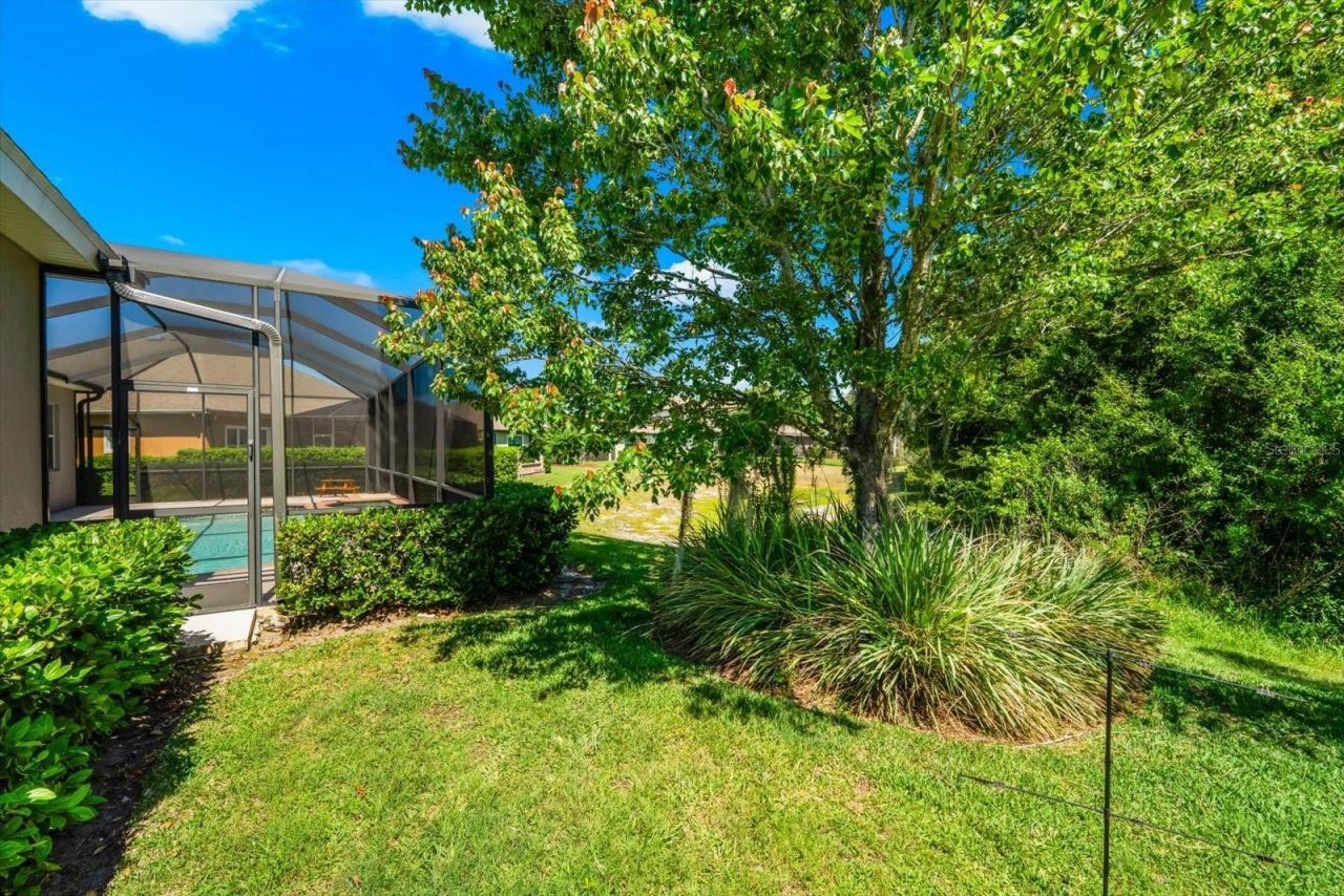8904 Crystal Creek Court, Land O Lakes, FL 34638 Photo