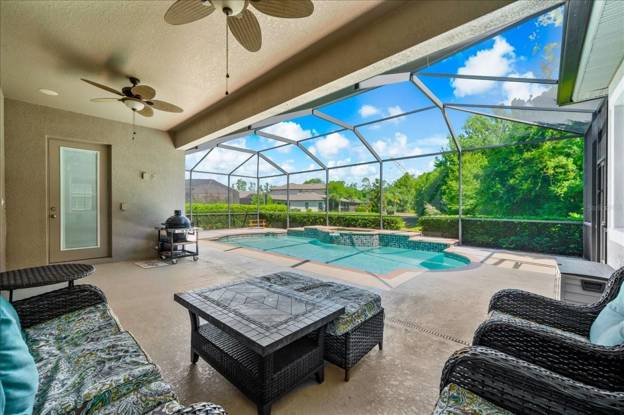 8904 Crystal Creek Court, Land O Lakes, FL 34638 Photo