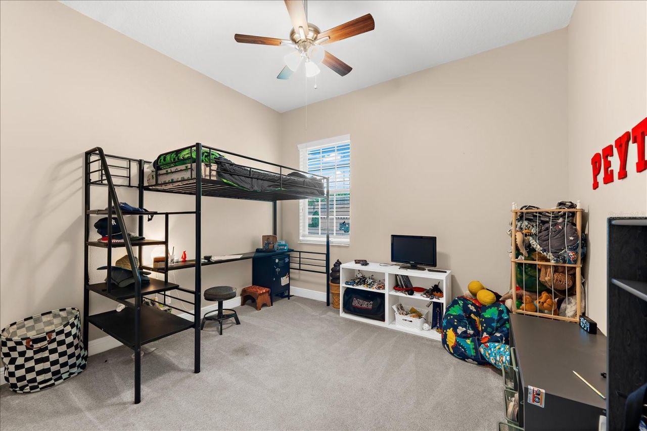 8904 Crystal Creek Court, Land O Lakes, FL 34638 Photo