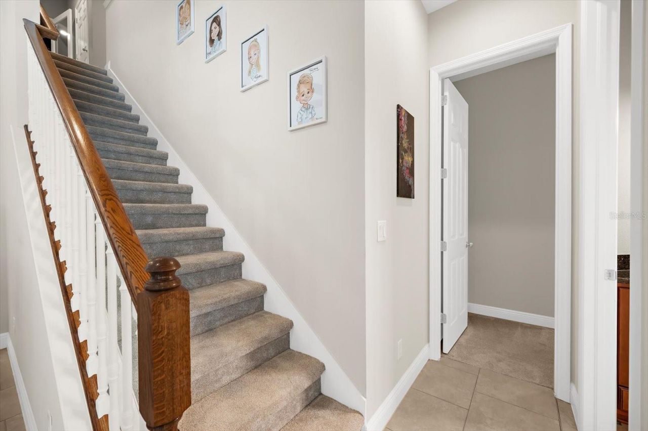 8904 Crystal Creek Court, Land O Lakes, FL 34638 Photo