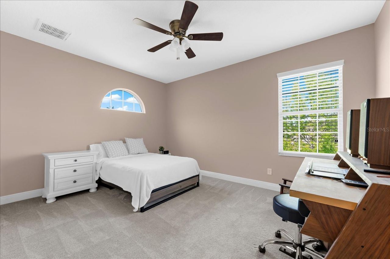 8904 Crystal Creek Court, Land O Lakes, FL 34638 Photo