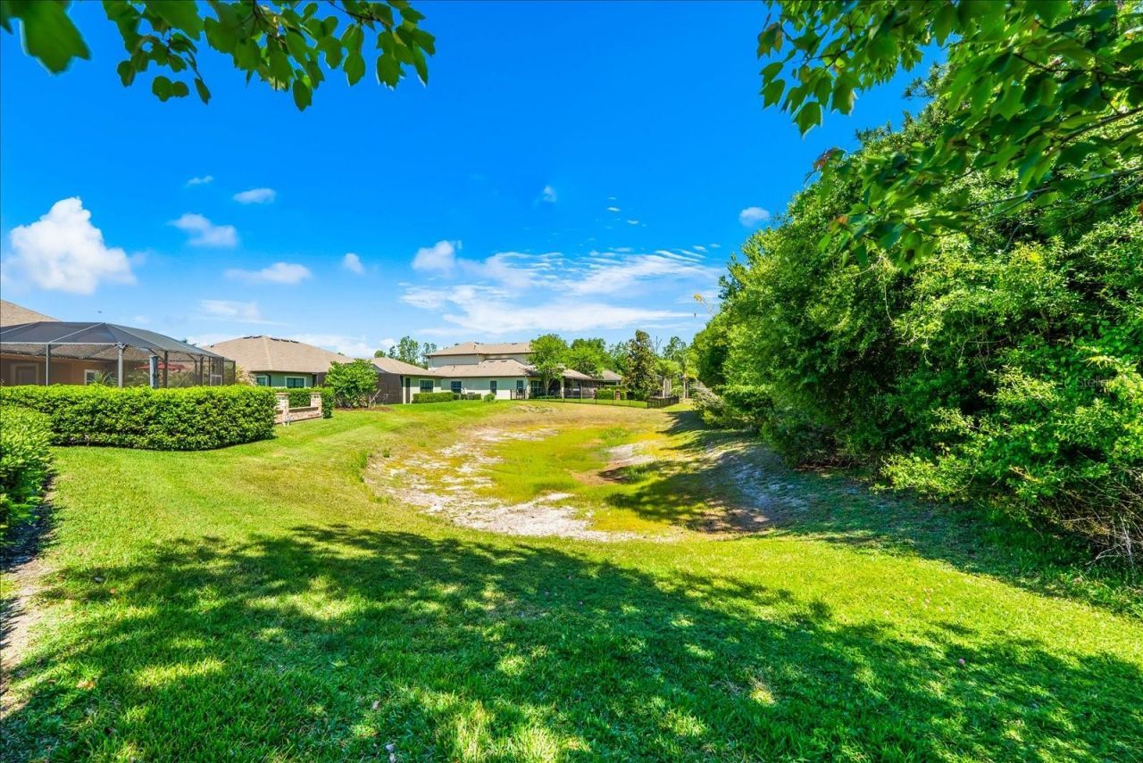8904 Crystal Creek Court, Land O Lakes, FL 34638 Photo