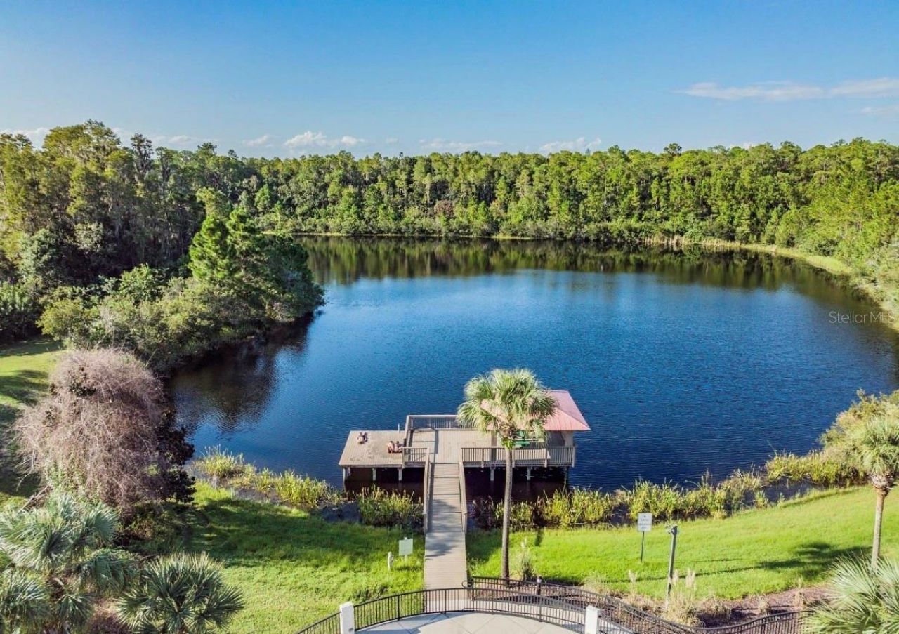 8904 Crystal Creek Court, Land O Lakes, FL 34638 Photo