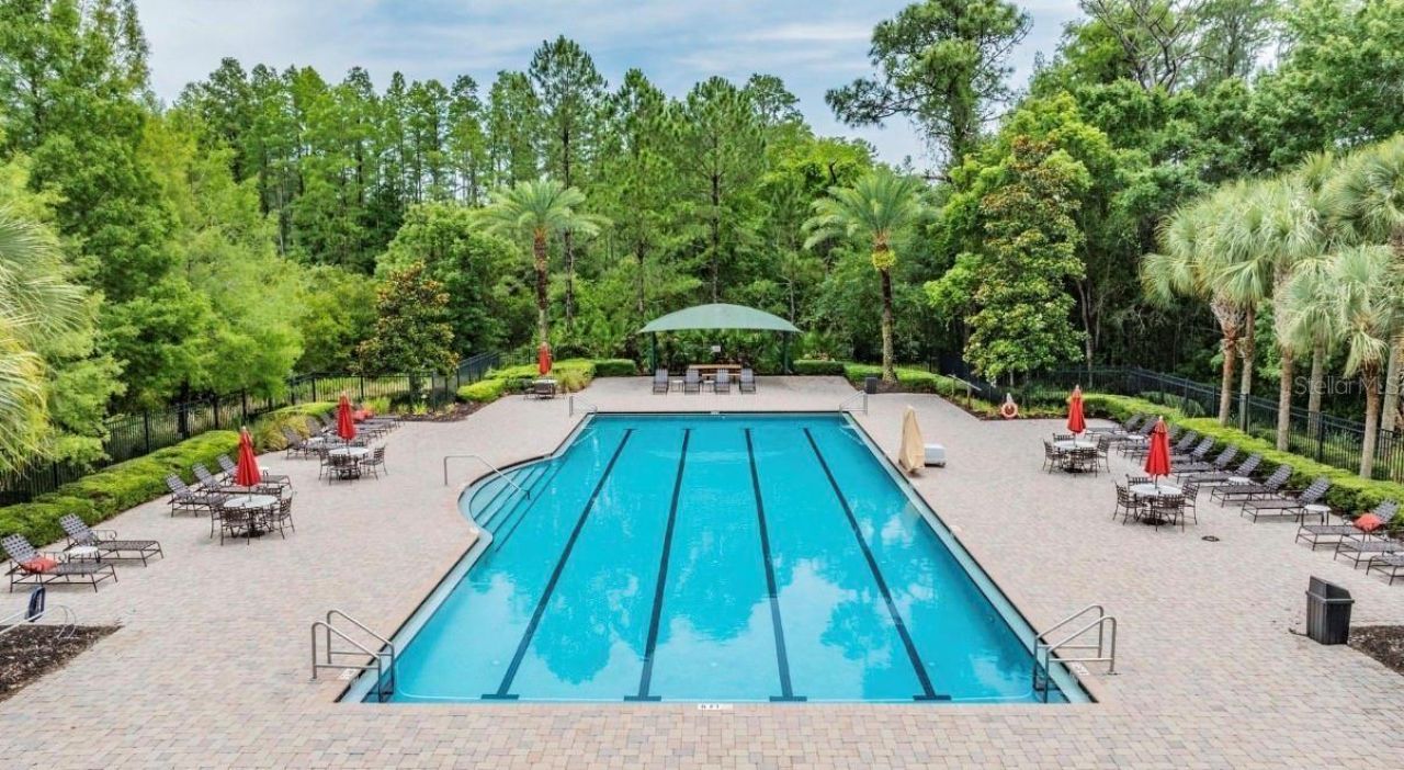 8904 Crystal Creek Court, Land O Lakes, FL 34638 Photo