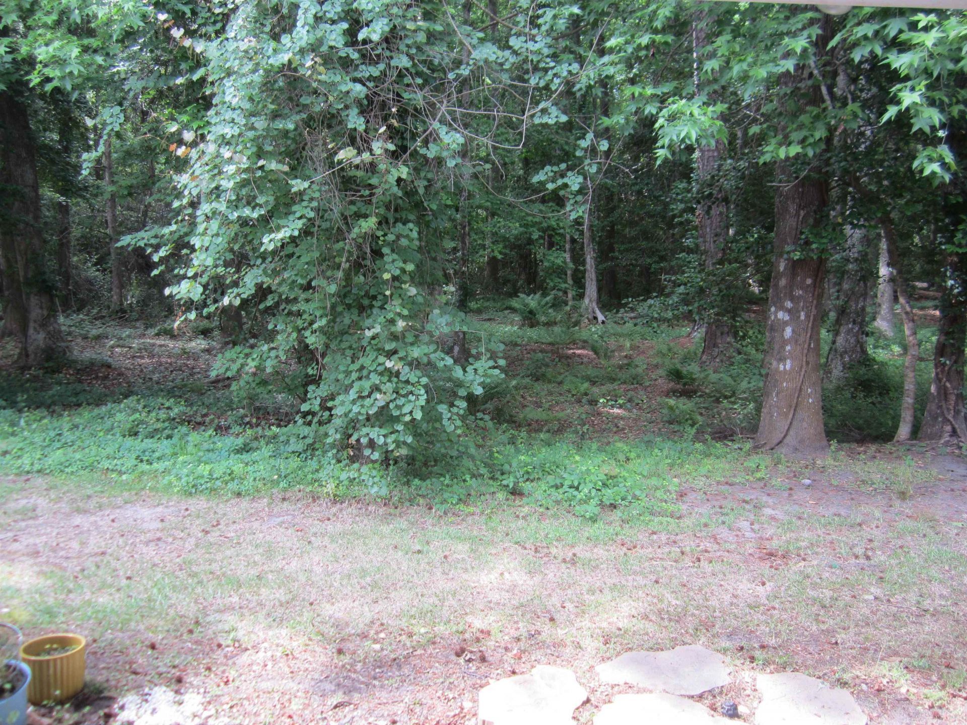1104 Harvester Circle Photo 32