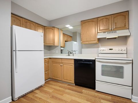 Main Photo