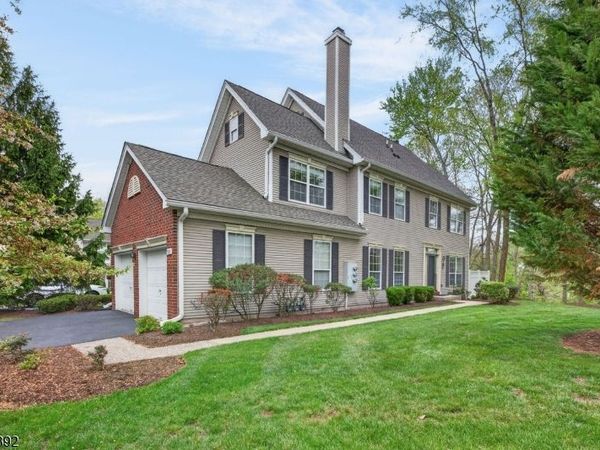 909 S Branch Dr, Readington, NJ 08889