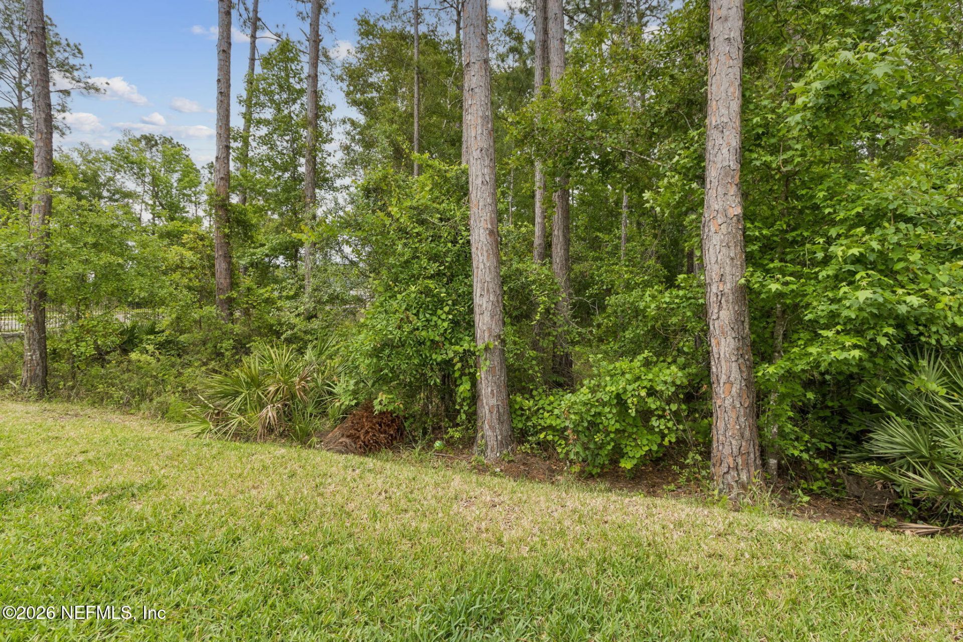 2812 Monroe Lakes Terrace, Green Cove Springs, FL 32043 Photo
