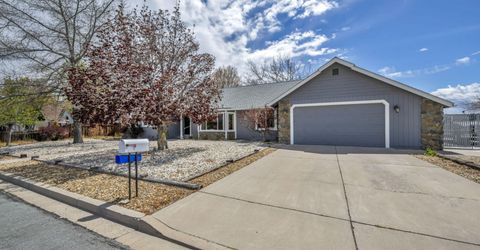 667 Marsh Road, Carson City, NV 89701 Photo