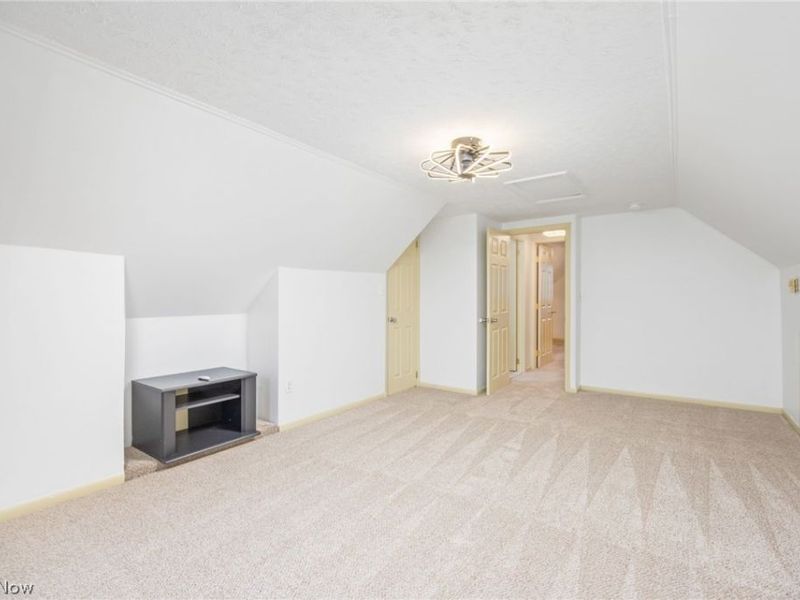 10743 Chippewa Road, Brecksville, OH 44141 Photo 23