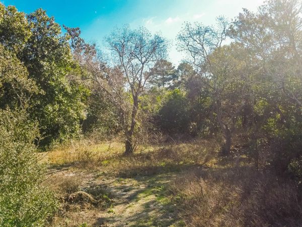 22229 Inlet Beach Court, Panama City Beach, FL 32413