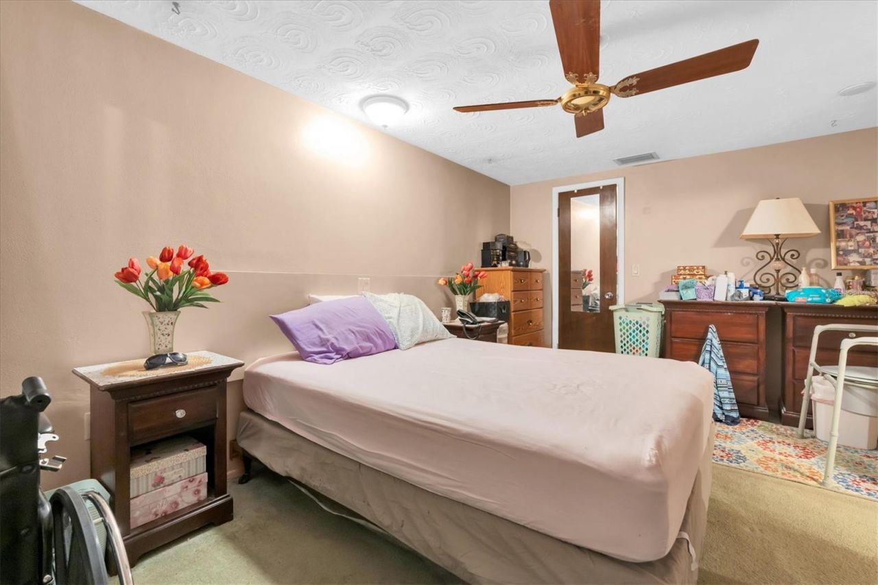 3352 Seffner Drive , Holiday, FL 34691 Photo