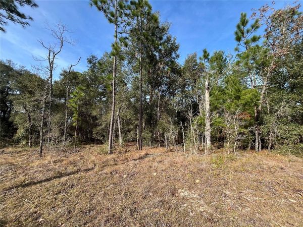 6168 EMORY AVENUE , KEYSTONE HEIGHTS, FL 32656