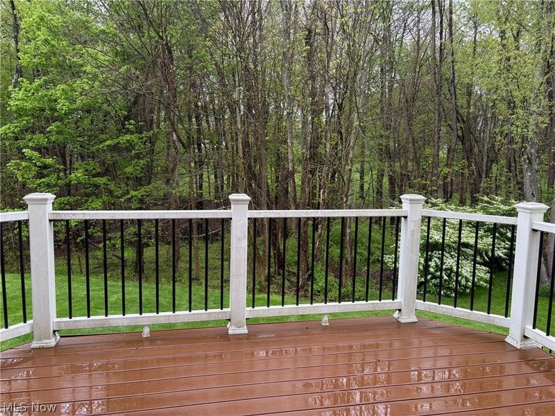 4582 Devereux Drive, Copley, OH 44321 Photo 12