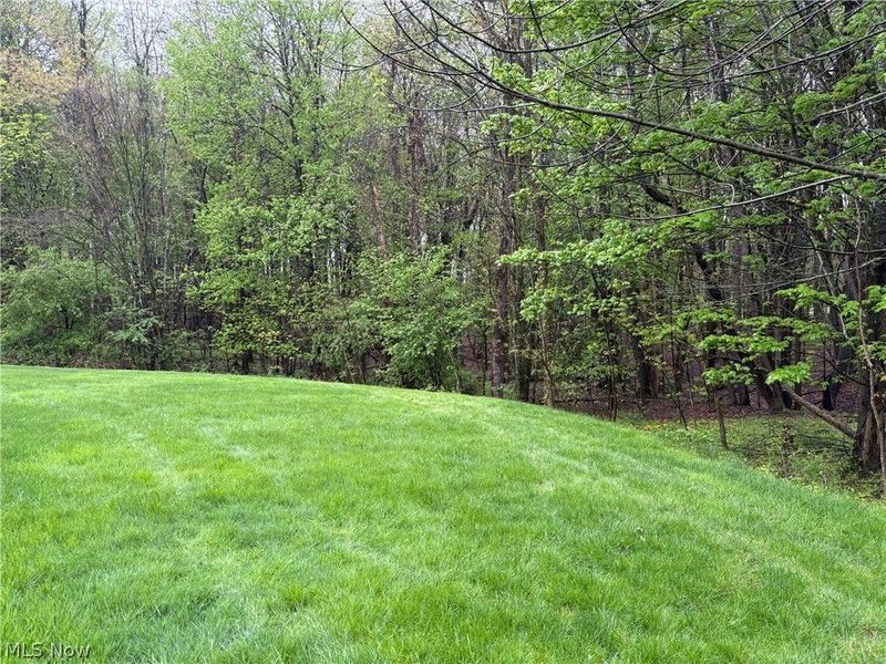 4582 Devereux Drive, Copley, OH 44321 Photo 13