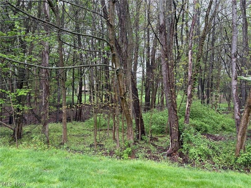 4582 Devereux Drive, Copley, OH 44321 Photo 21