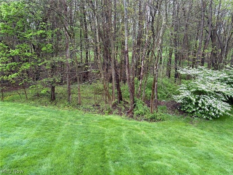 4582 Devereux Drive, Copley, OH 44321 Photo 35