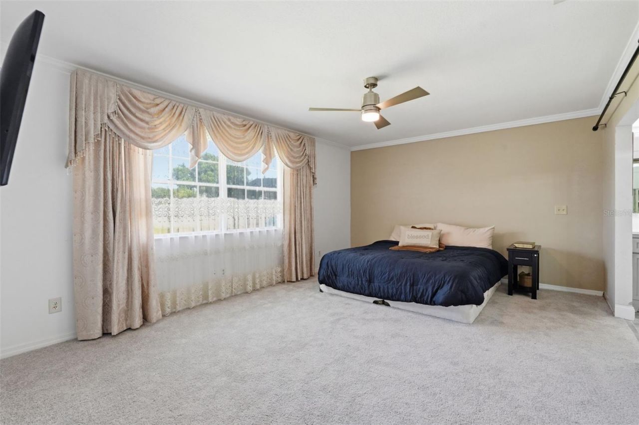 3678 E Lake Drive, Land O Lakes, FL 34639 Photo