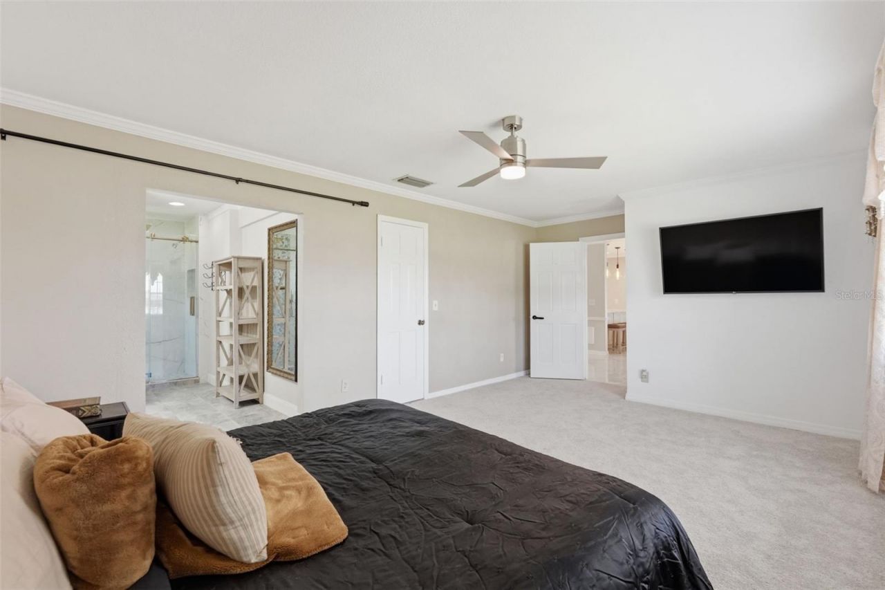 3678 E Lake Drive, Land O Lakes, FL 34639 Photo