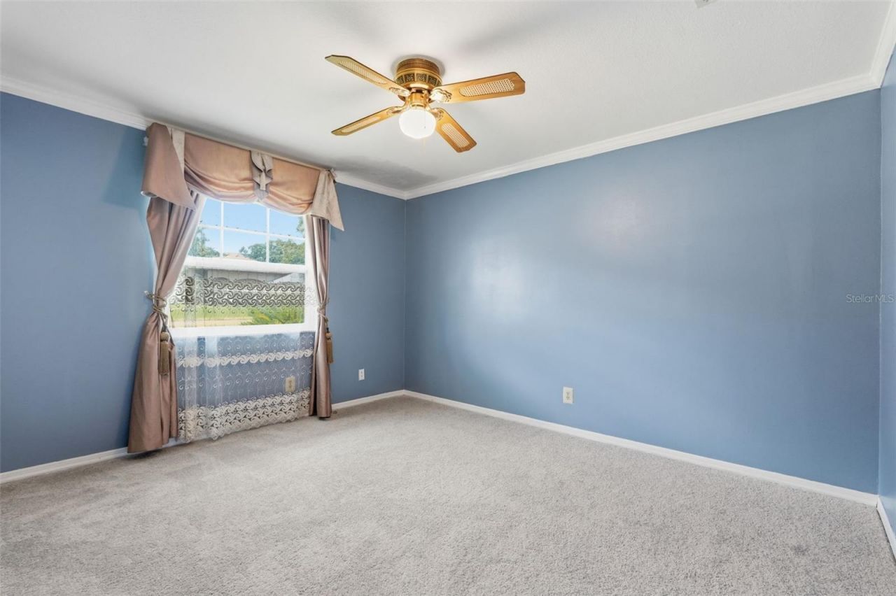 3678 E Lake Drive, Land O Lakes, FL 34639 Photo