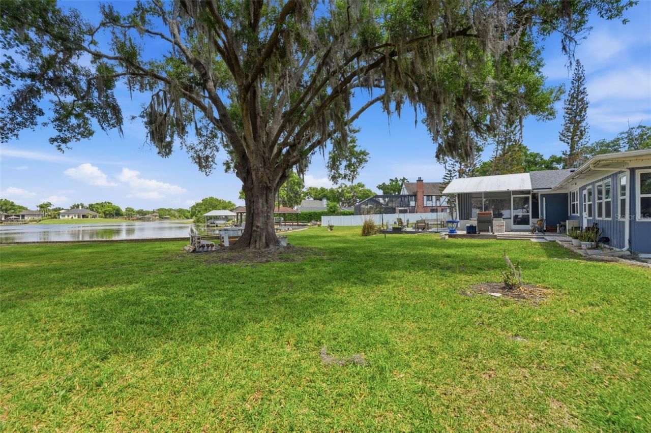 3678 E Lake Drive, Land O Lakes, FL 34639 Photo