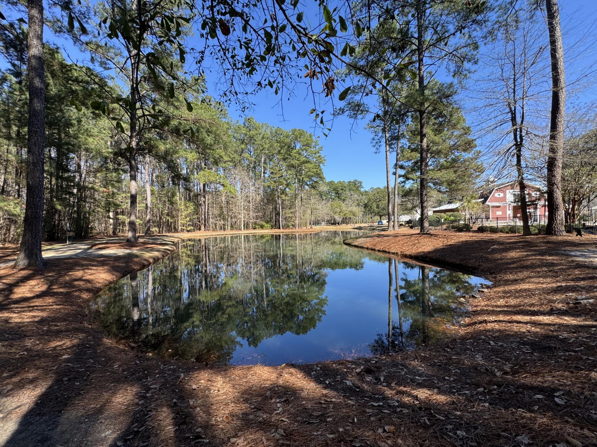 8754 Pasture Court Photo 32