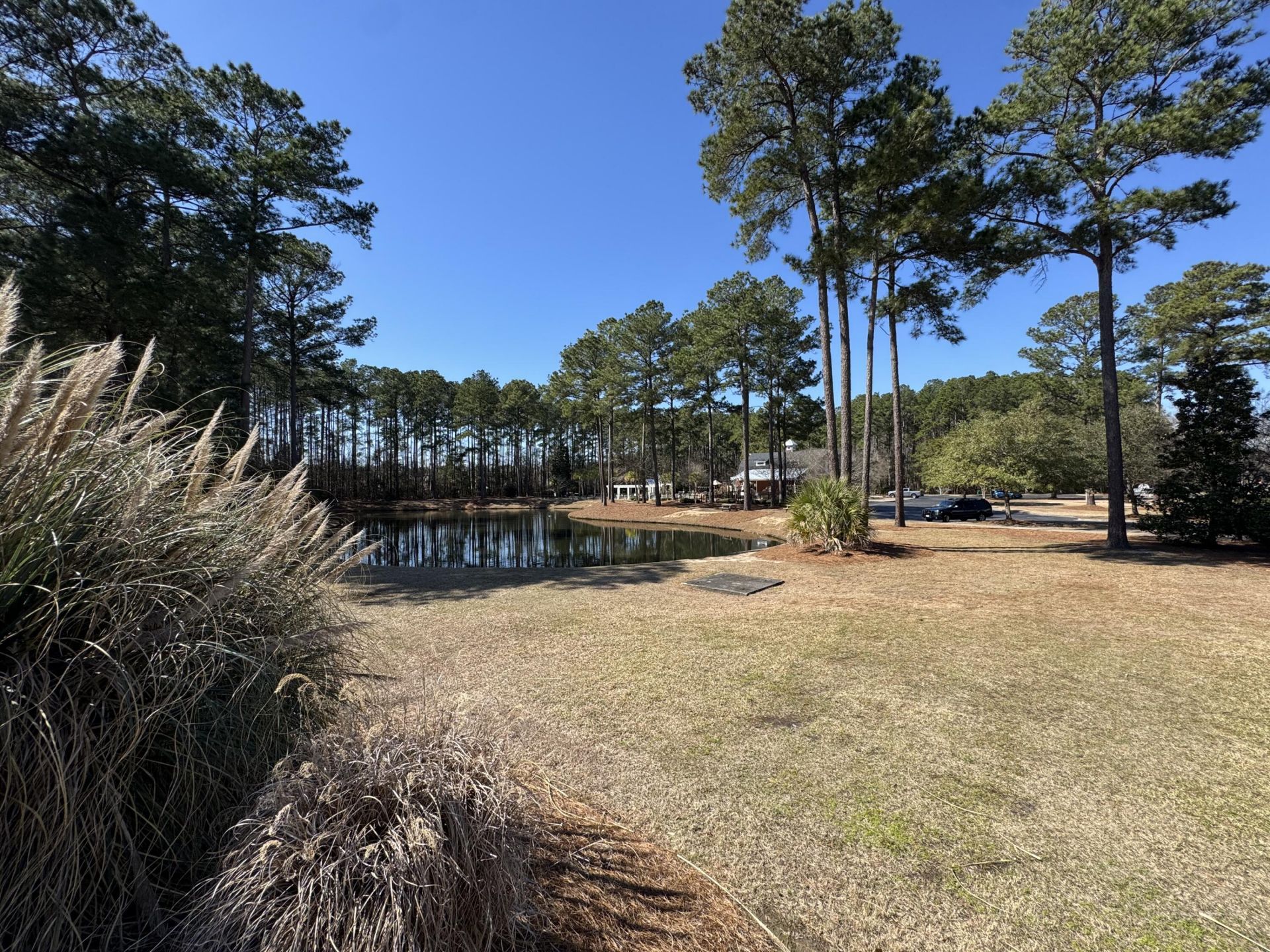 8754 Pasture Court Photo 43