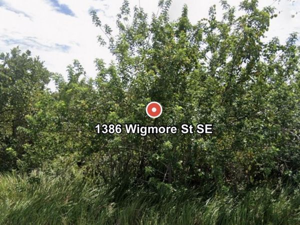 1386 SE Wigmore St Street SE, Palm Bay, FL 32909
