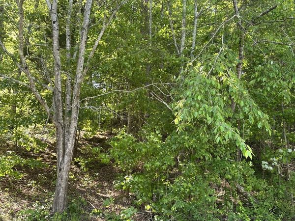 6900 Spinmaker Cove, Ooltewah, TN 37363