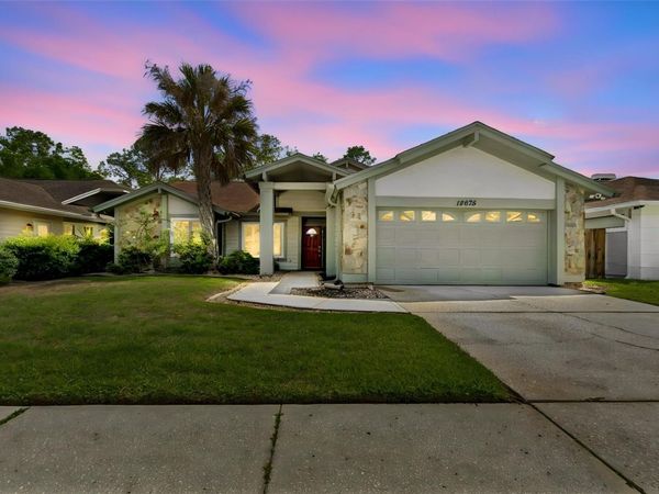 14675 VILLAGE GLEN CIRCLE, TAMPA, FL 33618