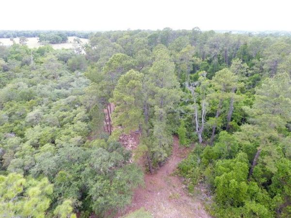 161 SNAKE HILL ROAD , CRESCENT CITY, FL 32112