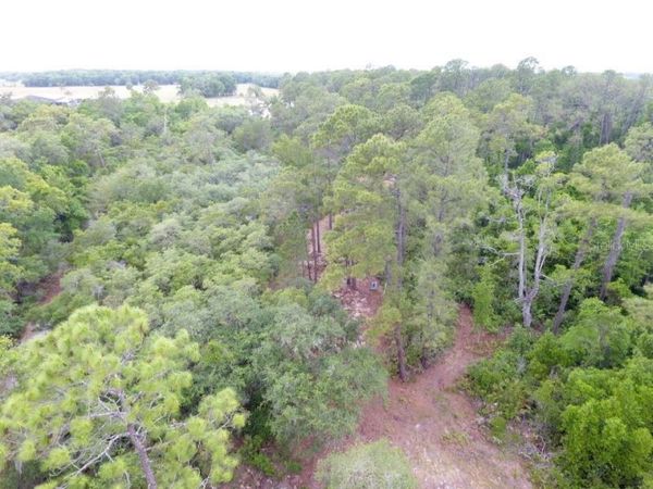 155 SNAKE HILL ROAD , POMONA PARK, FL 32181