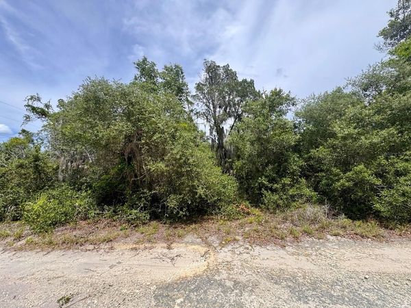 8365 NE 306TH COURT, SALT SPRINGS, FL 32134