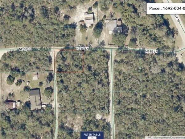 8365 NE 306TH COURT , SALT SPRINGS, FL 32134