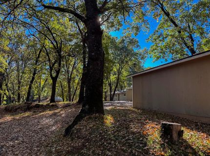 150 Centennial Mine Rd, West Point, CA 95255 Photo