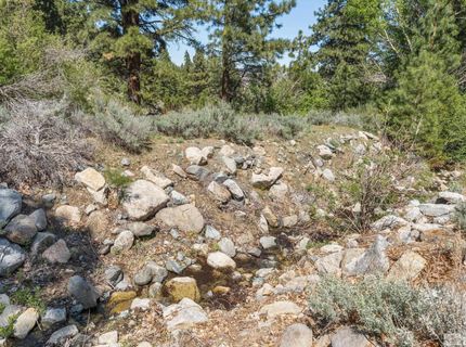 2414 Centennial Drive, Genoa, NV 89411 Photo