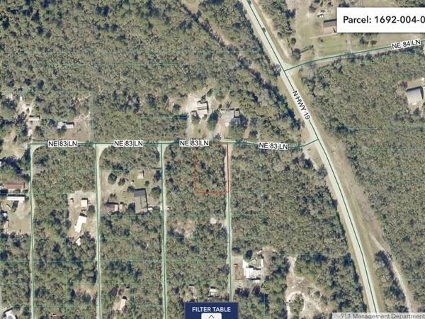 NE 306TH TERRACE , SALT SPRINGS, FL 32134