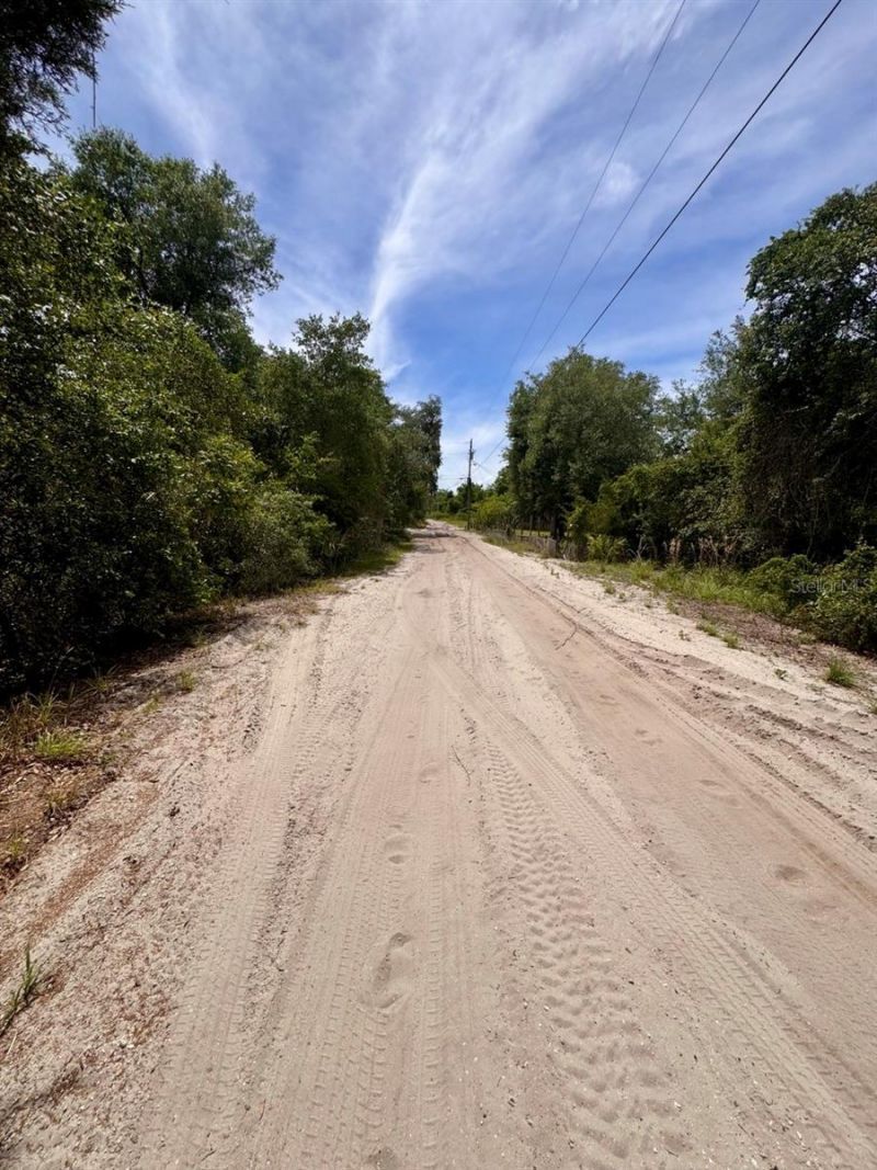 Ne 306th Terrace, Salt Springs, FL 32134 Photo