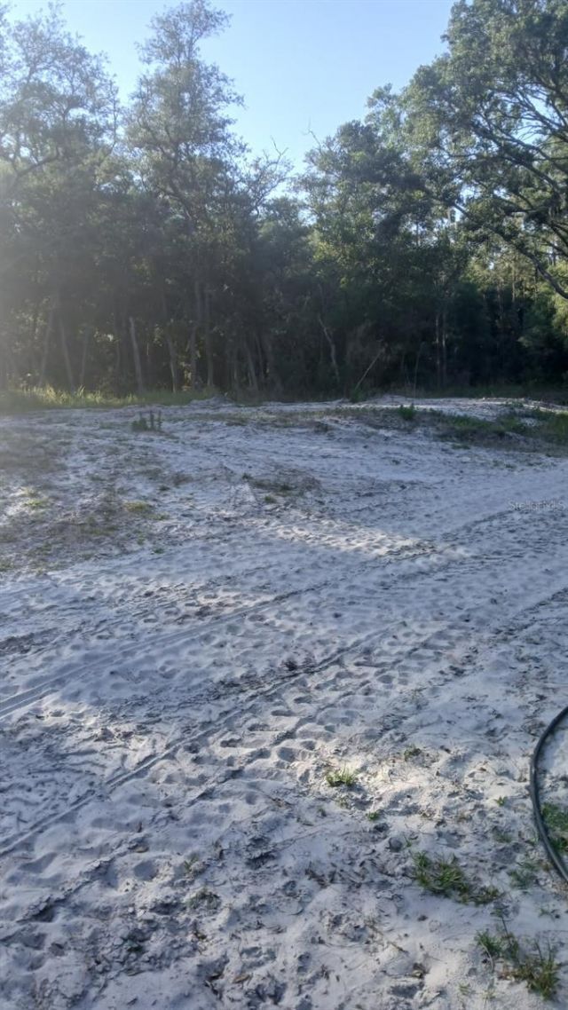 0 And Tbd , Webster, FL 33597 Photo