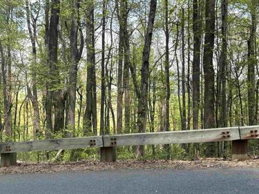 000 REEDS GAP RD , Unit 102-2, LYNDHURST, VA 22952