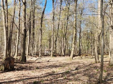 Straub Road, Rochester, NY 14626