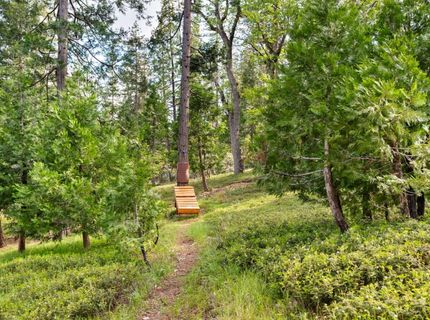 1622 Anna Lee Way, Arnold, CA 95223 Photo