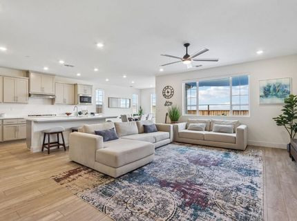 3695 Singh Ln, Tracy, CA 95377 Photo